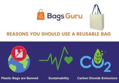 Reasons You Should Use a Reusable Bag  